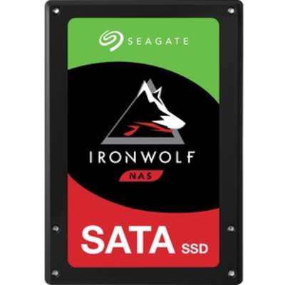 Seagate 240GB Ironwolf 110 SSD