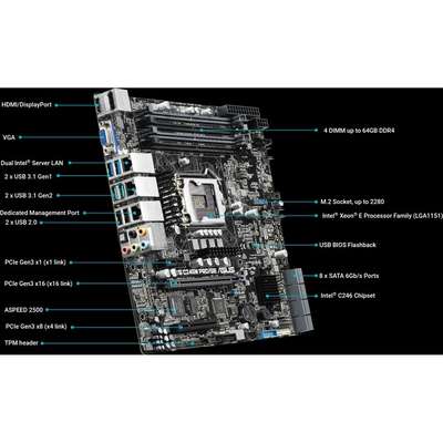Asus Motherboard WS-C246M-Pro-SE S1151 E-2100/Pentium/Celeron/I7/I5/I3 C246 MicroATX