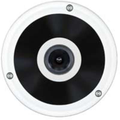 Digital Watchdog Megapix FishEye Indoor/Outdoor Van Dome