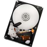 HGST 20-pack 1TB UltraStar A7K2000 SATA 7200RPM 32MB 3.5 inch 25.4MM