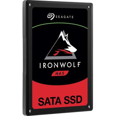 Seagate 240GB Ironwolf 110 SSD