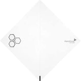 Aerohive Networks AP550 WW