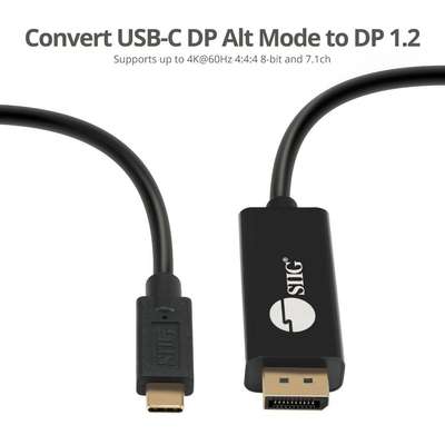 SIIG Inc. SIIG Cable CB-TC0K11-S1 USB-C to DisplayPort Cable 2M Opp Bag