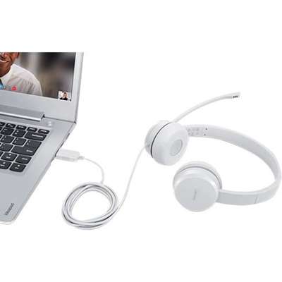 Lenovo 110 Stereo USB Headset (Retail)