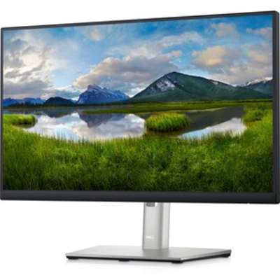 Dell 22 USB-C Monitor-P2223HC