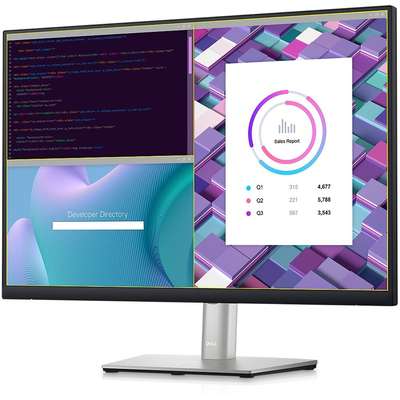 Dell 24 Monitor-P2423