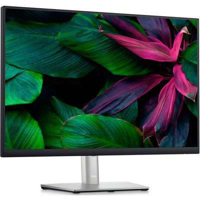 Dell 24 Monitor-P2423