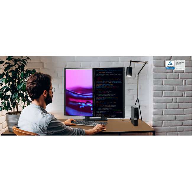 Dell 24 Monitor-P2423