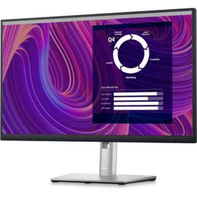 Dell 24 Monitor-P2423D