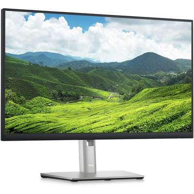 Dell 24 Monitor-P2423D