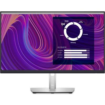 Dell 24 Monitor-P2423D