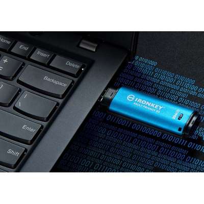 Kingston Technology 256GB Ironkey Vault Privacy 50 External SSD