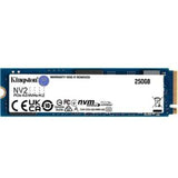 Kingston Technology 250G NV2 M.2 2280 PCIE 4.0 NVMe SSD