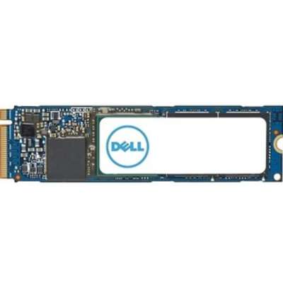 Dell 1TB Dell M.2 PCIE NVMe Class 40 Solid State Drive