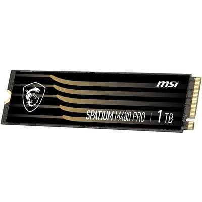 MSI SSD SM480PN1TB Spatium M480 Pro PCIE 4.0 NVMe M.2 1TB Play