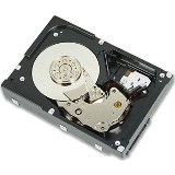 Dell 12TB 7.2K SATA 6GBPS 512E 3.5 inch Hplug Dr